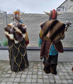 Vikingkostuums 