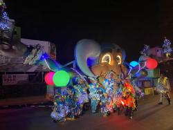 Carnavalswagens te koop